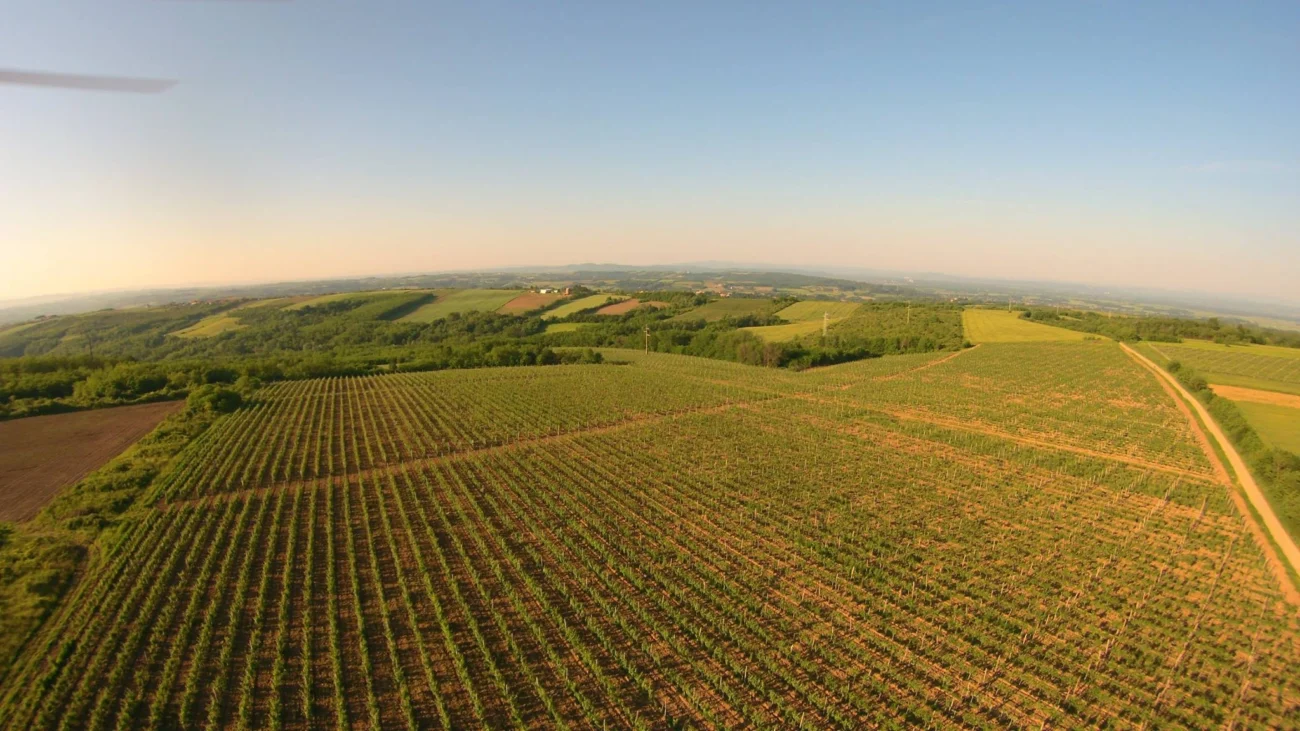 13329506_912326892227114_4196024830331854703_o